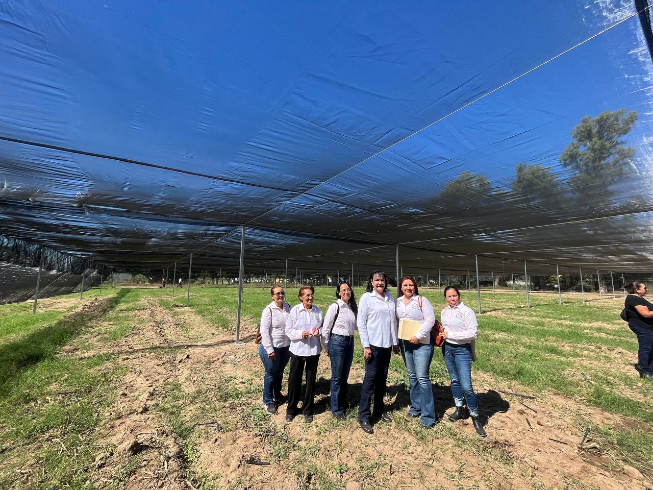 Programa de extensionismo de la Sagarhpa forma cooperativas en zonas marginadas de Sonora